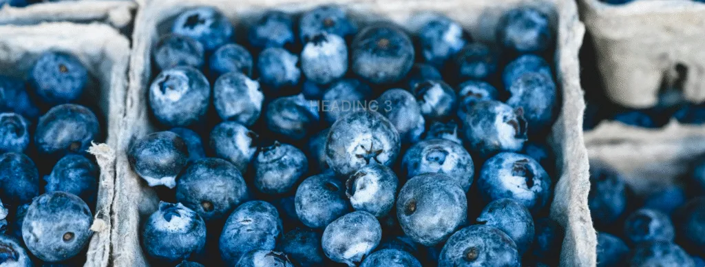 Blueberries in a punnet